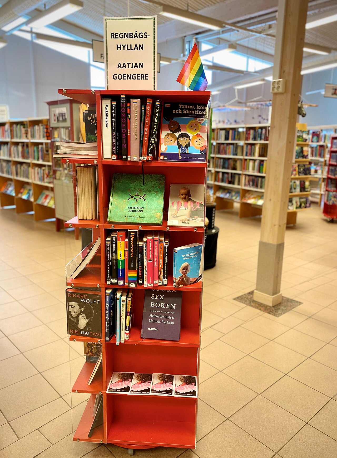 Arkivbild: Regnbågshyllan på Dorotea bibliotek